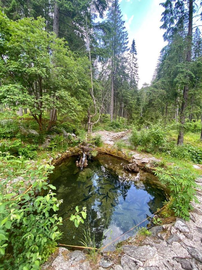 Villa Luxusná Drevenica Zuberec s Wellness, Západné Tatry, Orava Exterior foto